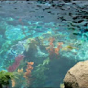 Meet your Posher, Oceanc0re